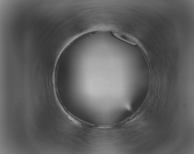 X0000067511343200604211741