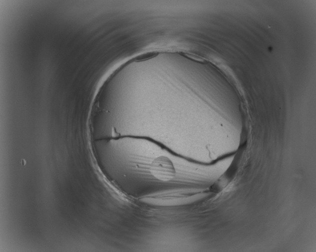 X0000067511344200604211741