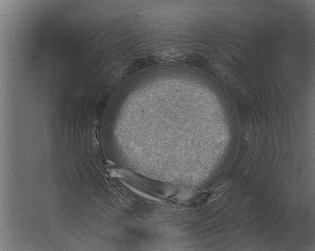 X0000067511346200604211740