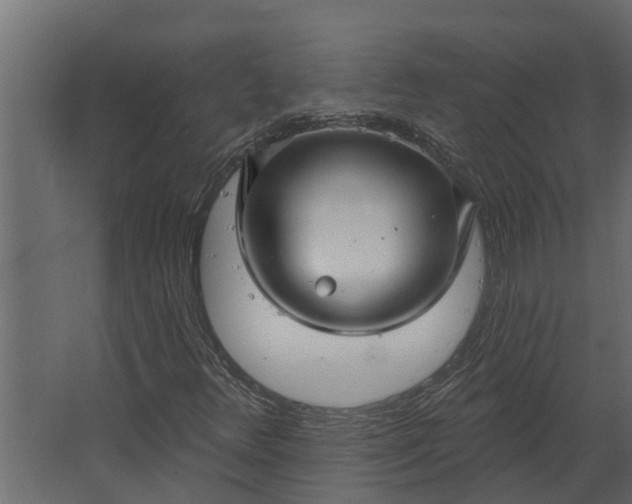 X0000067511348200604211740