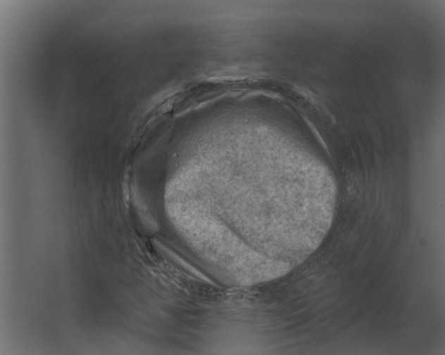 X0000067511350200604211740