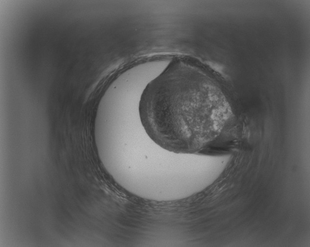 X0000067511351200604211740