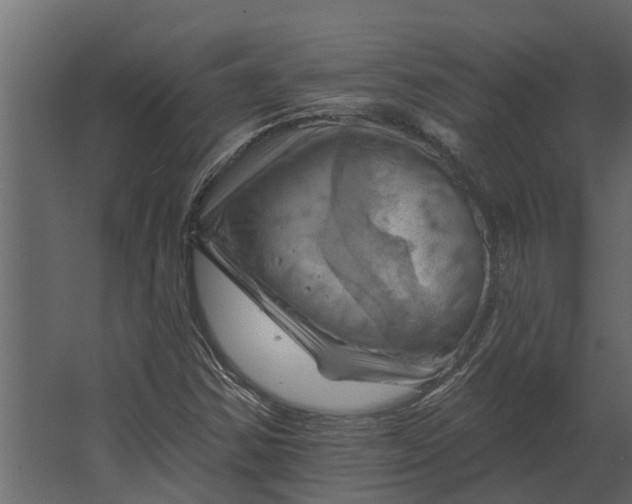 X0000067511354200604211740