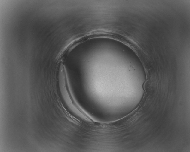 X0000067511355200604211740