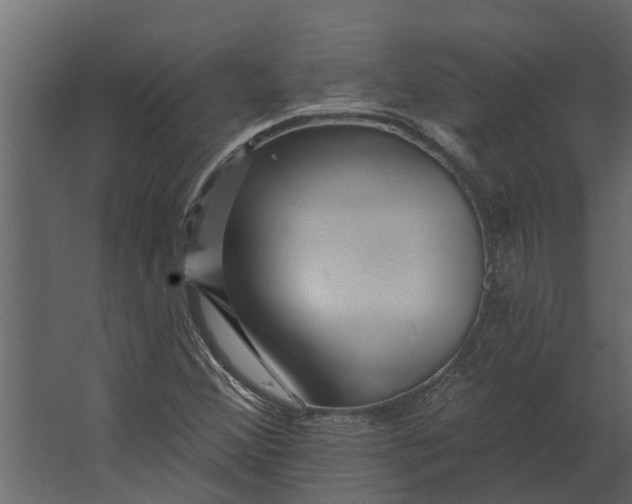 X0000067511356200604211740