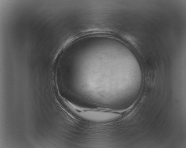 X0000067511357200604211740