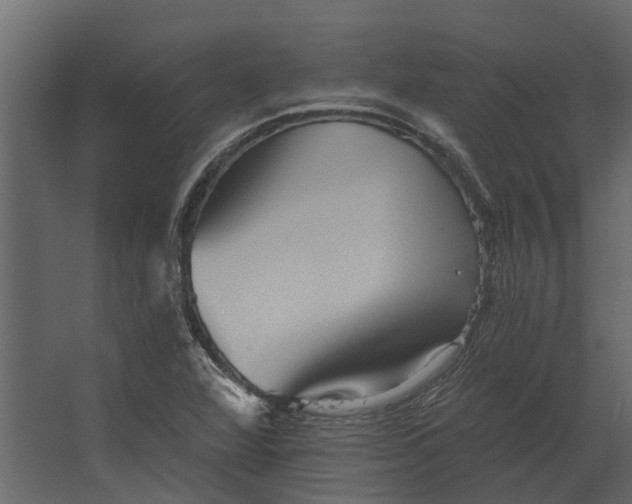 X0000067511360200604211740