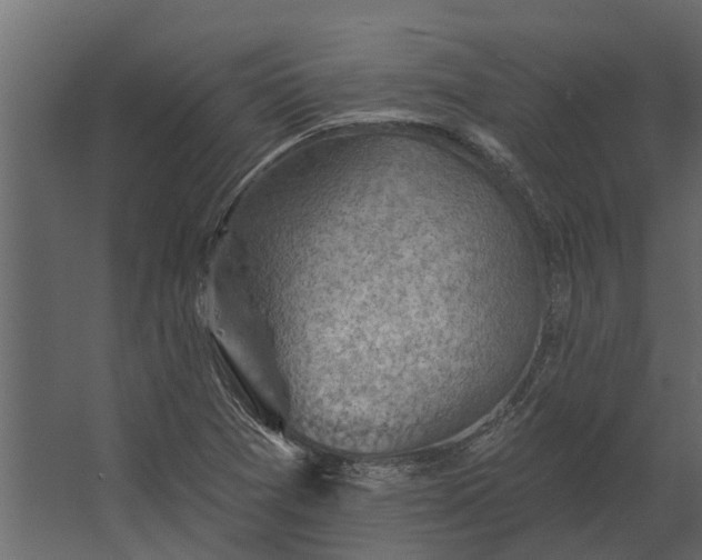 X0000067511361200604211740