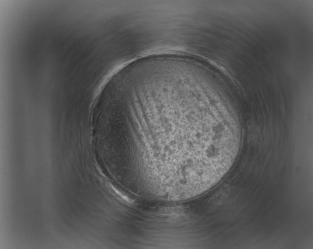 X0000067511363200604211740