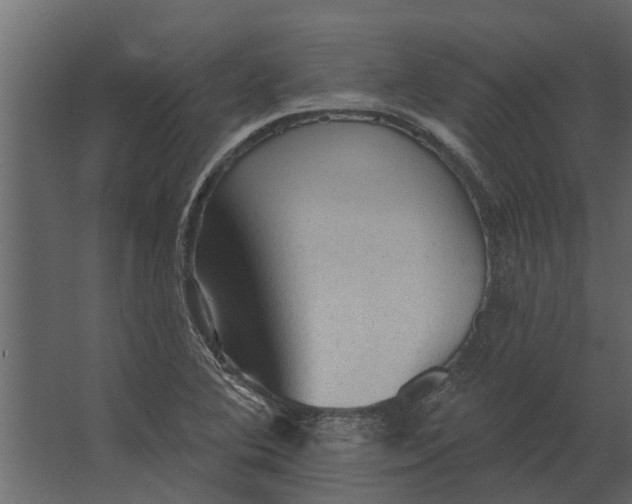 X0000067511364200604211740