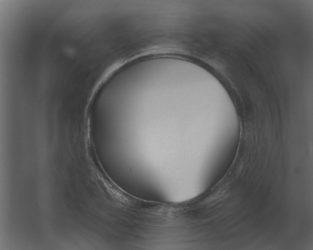 X0000067511366200604211740