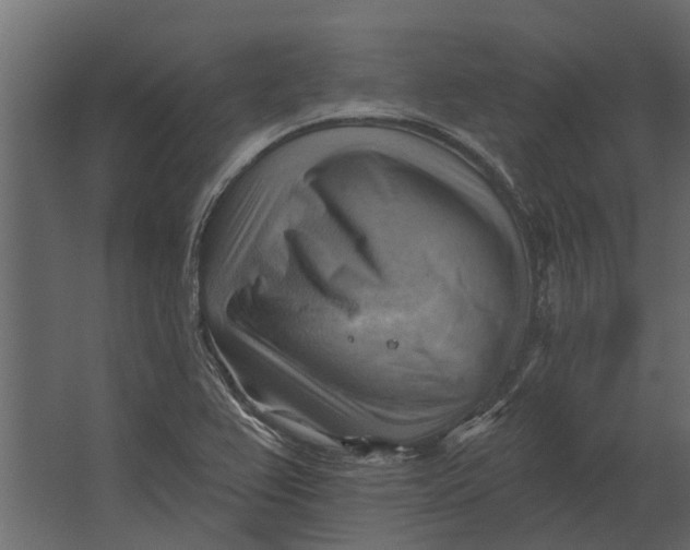 X0000067511367200604211740