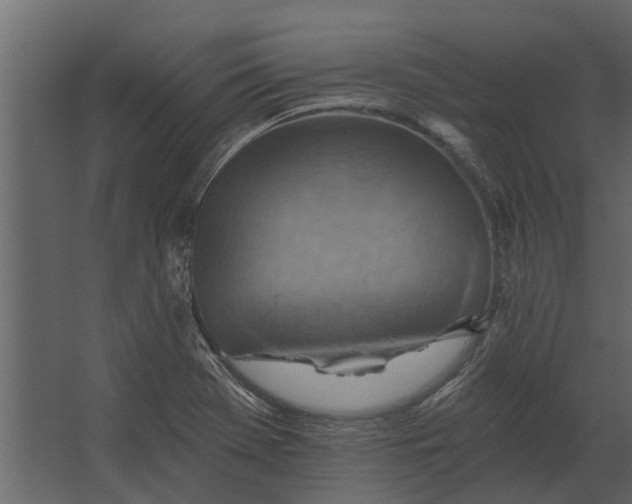 X0000067511369200604211740