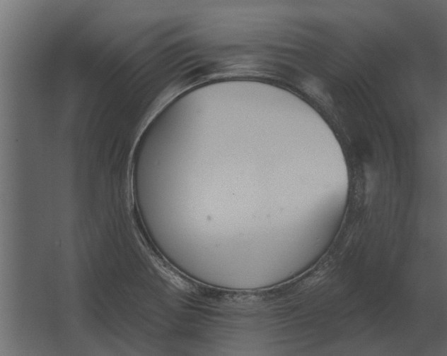 X0000067511370200604211740