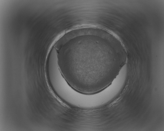 X0000067511373200604211740