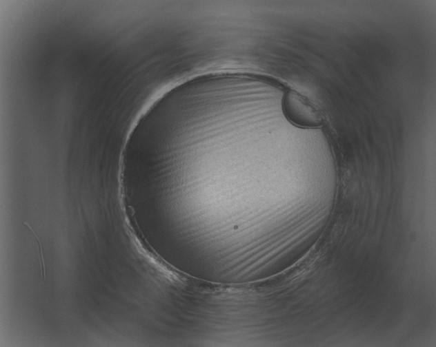 X0000067511374200604211740