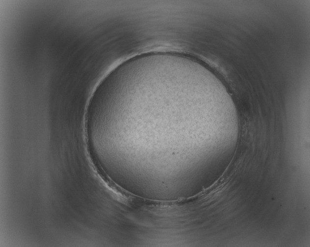 X0000067511375200604211740