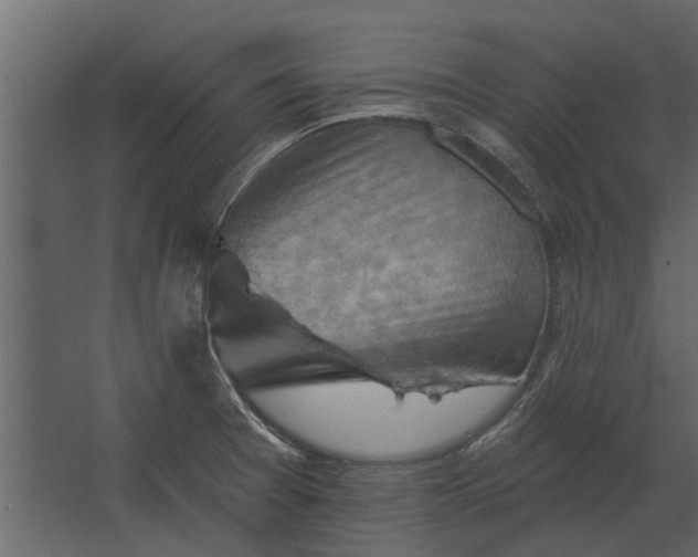 X0000067511377200604211740