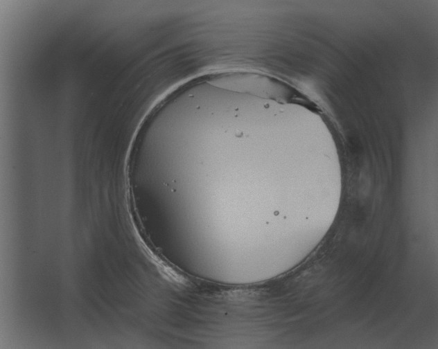 X0000067511380200604211740