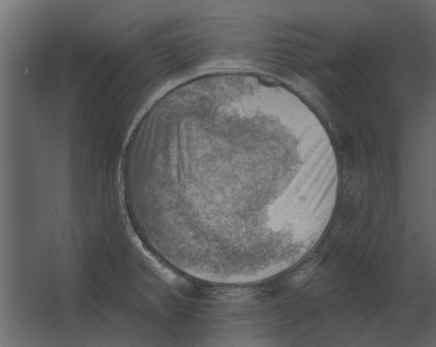 X0000067511382200604211740