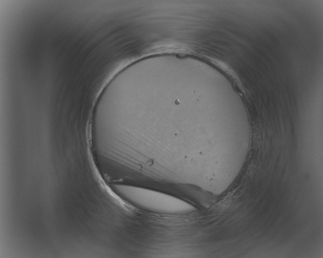 X0000067511383200604211740