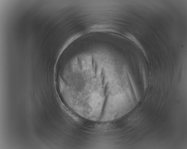 X0000067511386200604211739