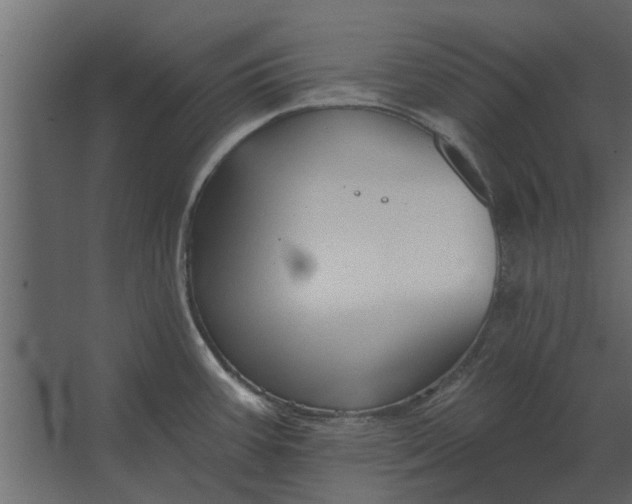 X0000067511387200604211739