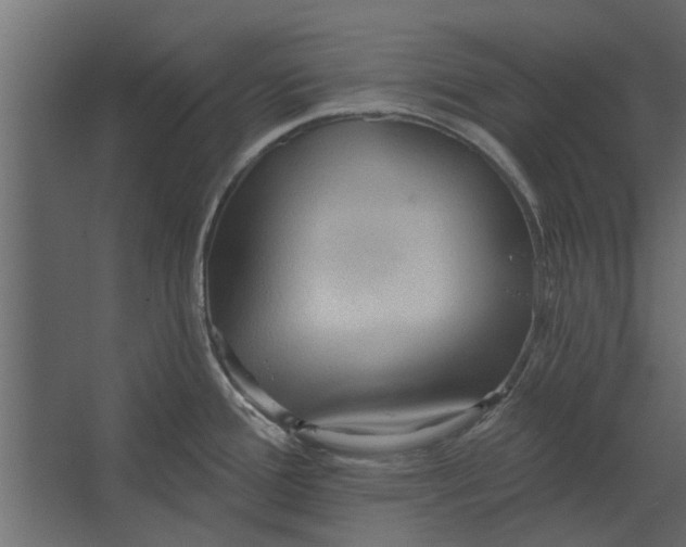 X0000067511388200604211739