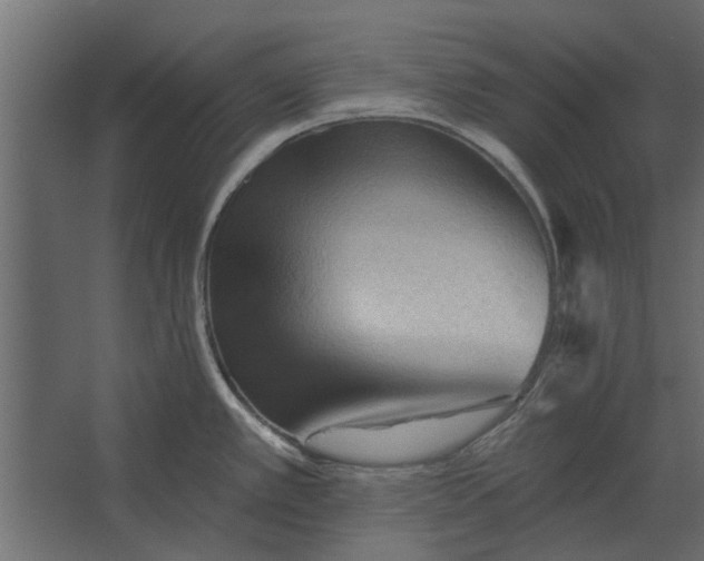 X0000067511389200604211739