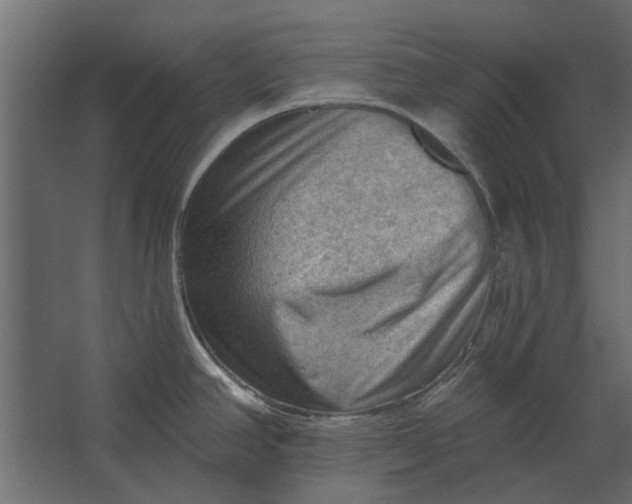 X0000067511390200604211739