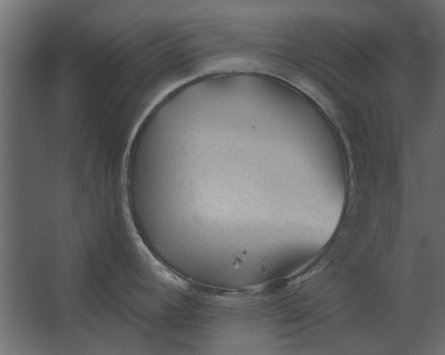 X0000067511392200604211739