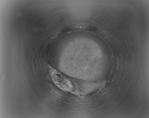 X0000067511394200604211739