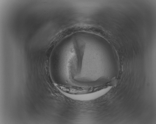 X0000067511397200604211739