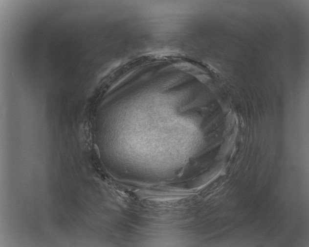 X0000067511398200604211739