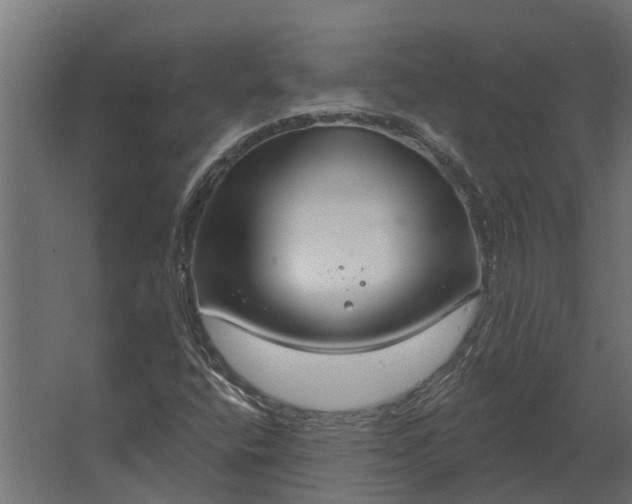 X0000067511400200604211739