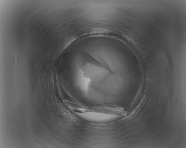 X0000067511401200604211739