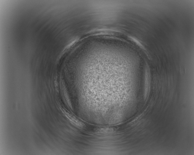 X0000067511403200604211739