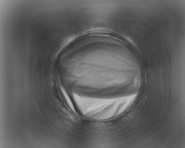 X0000067511405200604211739