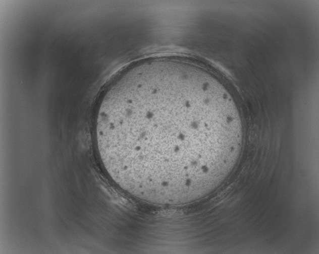 X0000067511407200604211739