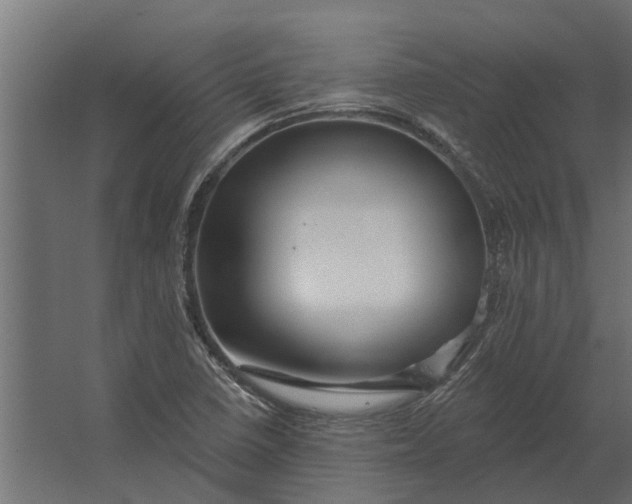 X0000067511410200604211739