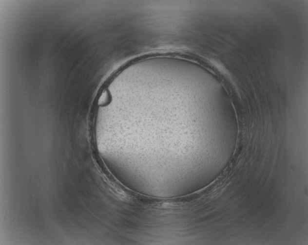 X0000067511412200604211739