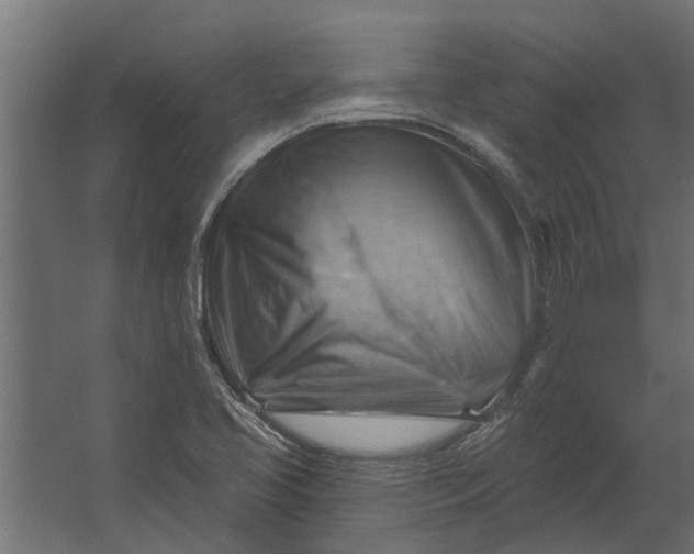 X0000067511413200604211739