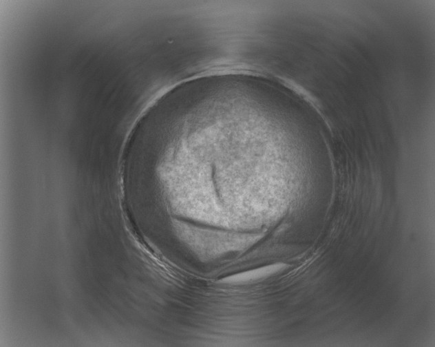 X0000067511415200604211739