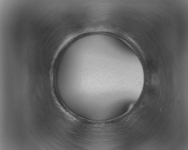 X0000067511416200604211739