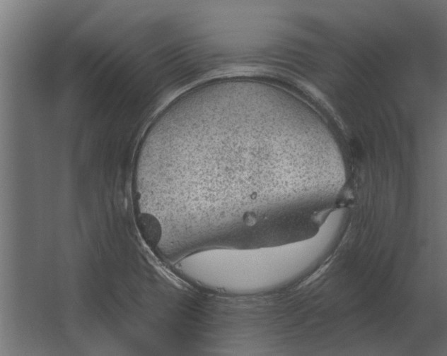 X0000067511417200604211739