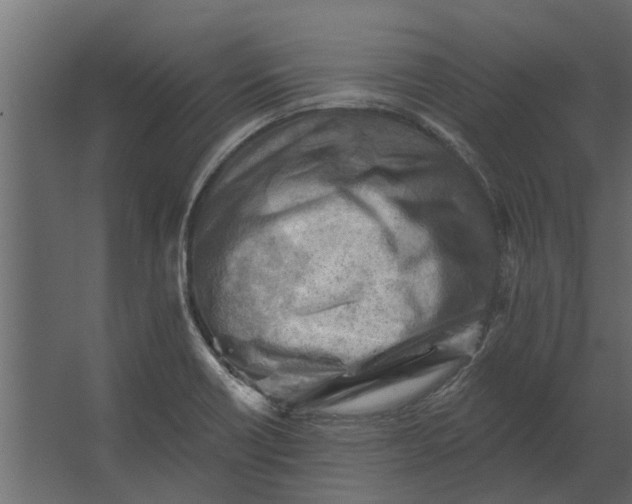 X0000067511418200604211739