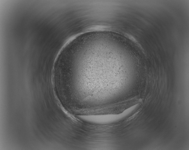 X0000067511421200604211739