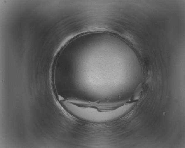 X0000067511422200604211739