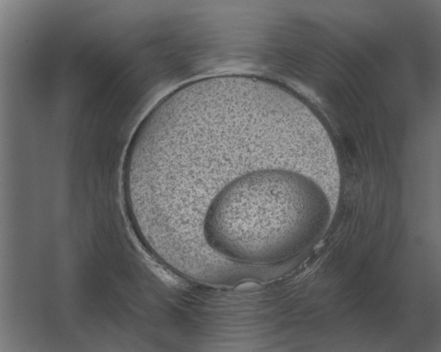 X0000067511423200604211739