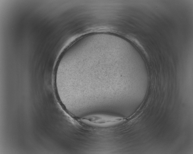 X0000067511424200604211739